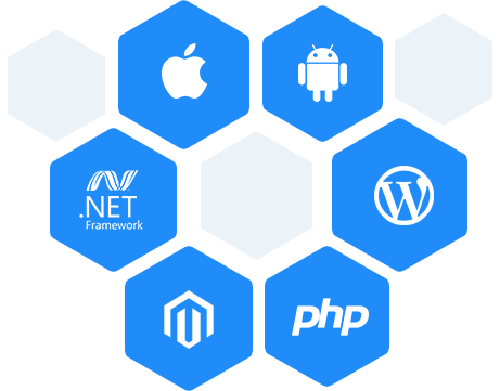 Offshore Web Development Services